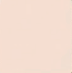 VKTR Mineral Foundation Powder